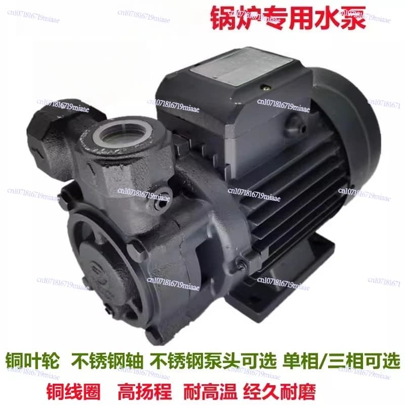 Horizontal high pressure vortex pump 25W70 pellet boiler 1-3KW biomass combustion steam boiler pressurized make-up water pump