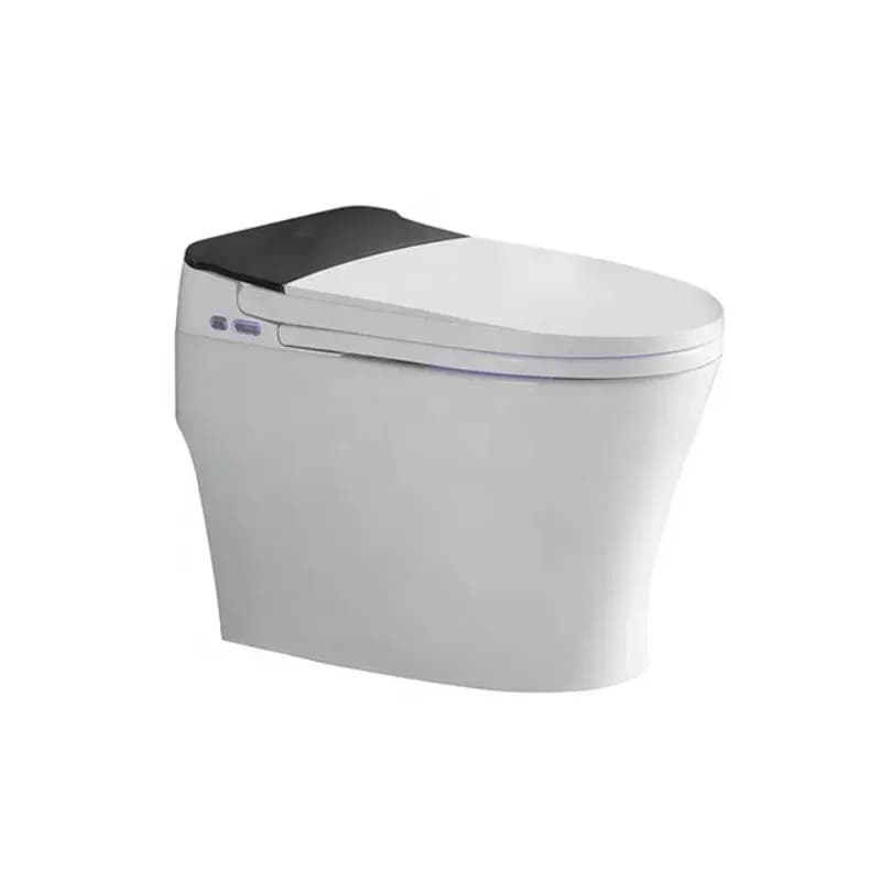 Smart toilet North siphon smart toilet