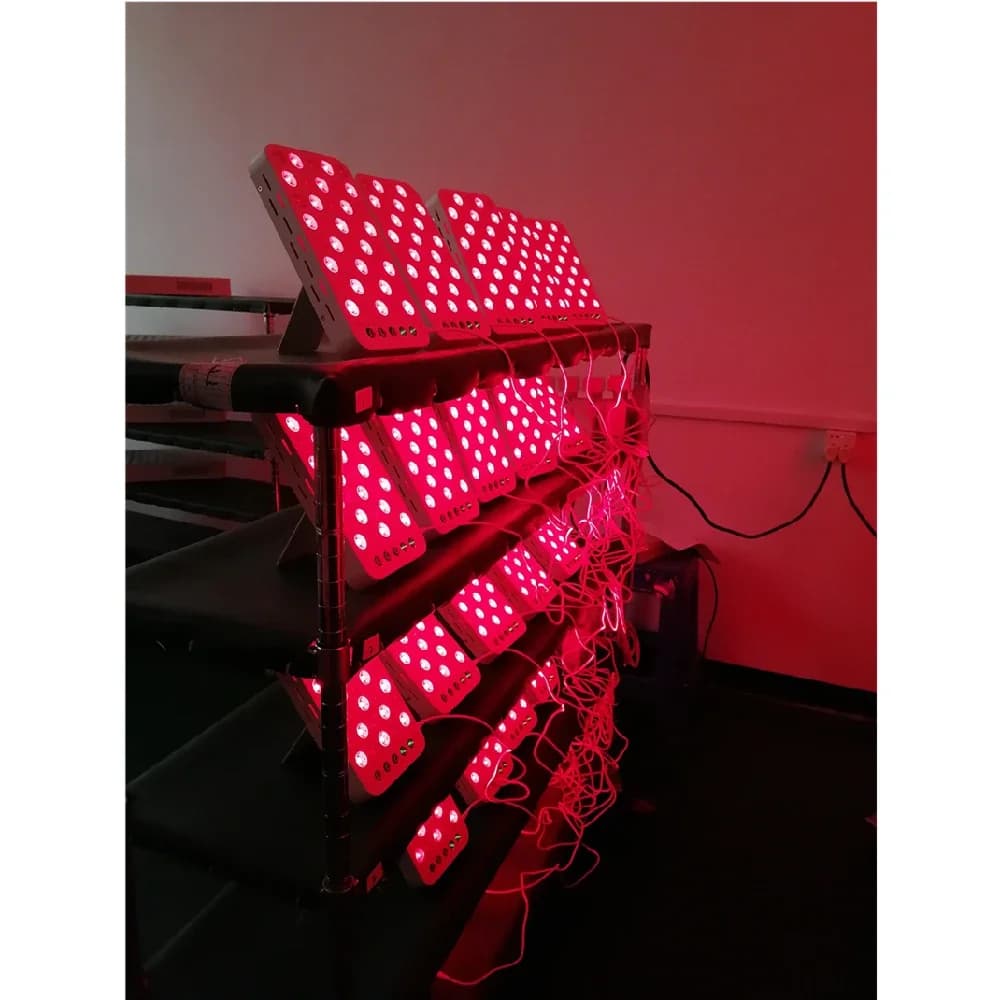 2025 hot sale Portable Face Care Photonic Red Light  Red Light Panels Therapy Hair Loss 660nm 850nm CE