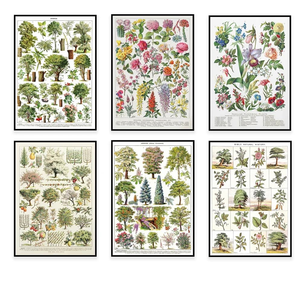 Biblical herbs, shrubs and trees, fruit trees, flower varieties, ornamental tree species, medicinal flower plants retro poster