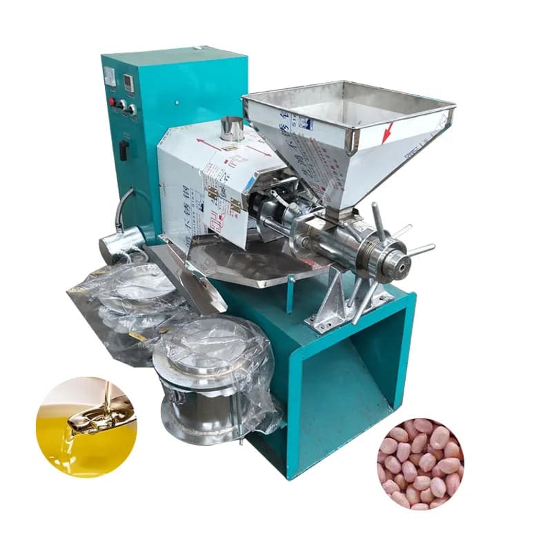 Small Stainless Steel Oil Press Machine Automatic Oil Extraction
