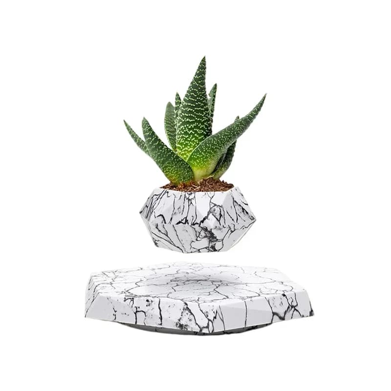 Internet celebrity agent Intelligent technology Cultural crafts Maglev creative fashion ornaments Potted plants