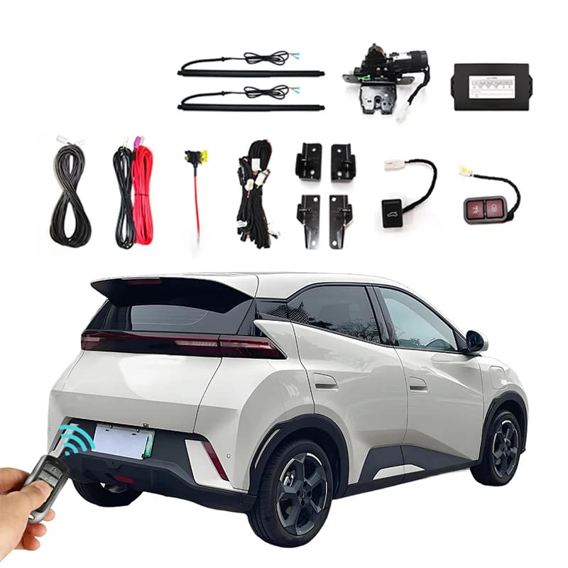For BYD Haio 2023+ Car Rear Door Electric Lift Kit for Modification