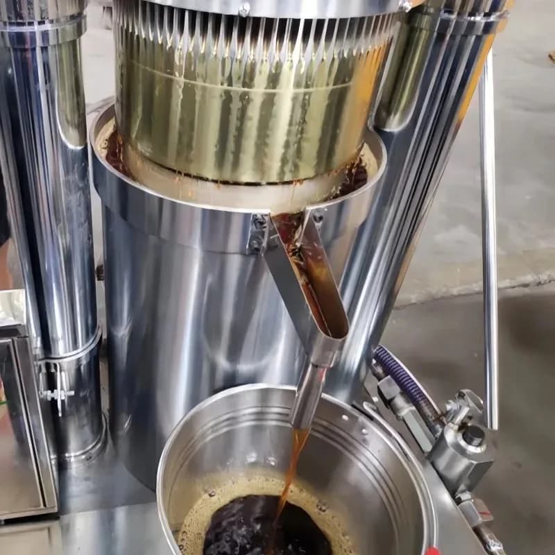 Olive Oil Press Extractor Machine for Australia - Oil Extraction Press Machine for Home Use