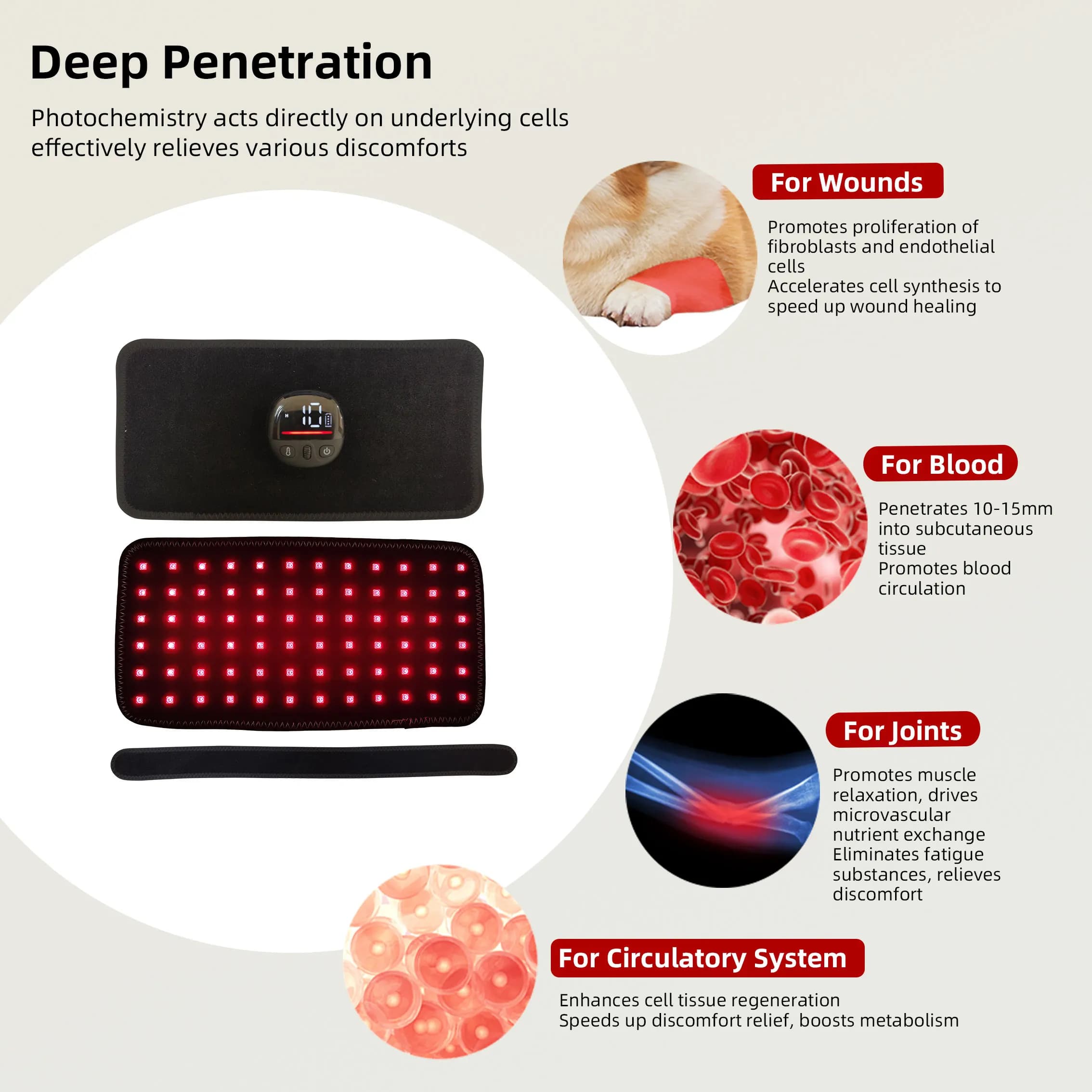 Dual-Wavelength Red Light Therapy Pad for Pets — Adjustable Timer, Dog/ Joint Care, Post-Op Recovery, OEM Supply