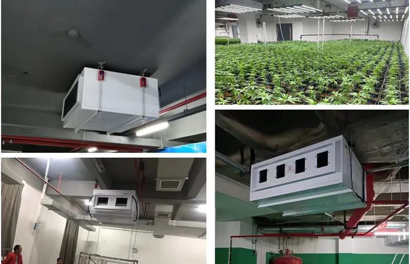 90L Industrial Ceiling Mounted Dehumidifier Powerful Moisture Removal for Factory & Warehouse Industrial Dehumidifier