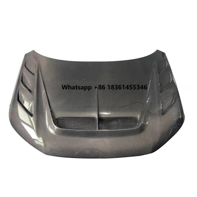 Lightweight Carbon Fiber Hood FL5 Racing Upgrad