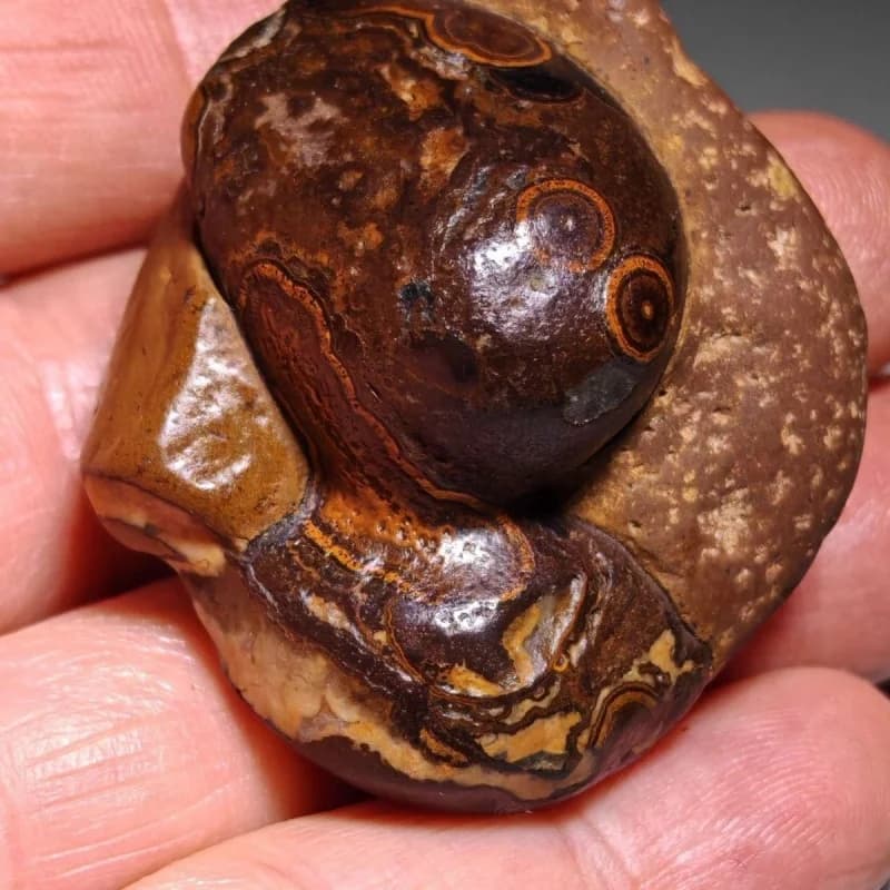 Naturally Form Rare Mineral Specimens That Are Unique Collections Of Rocks