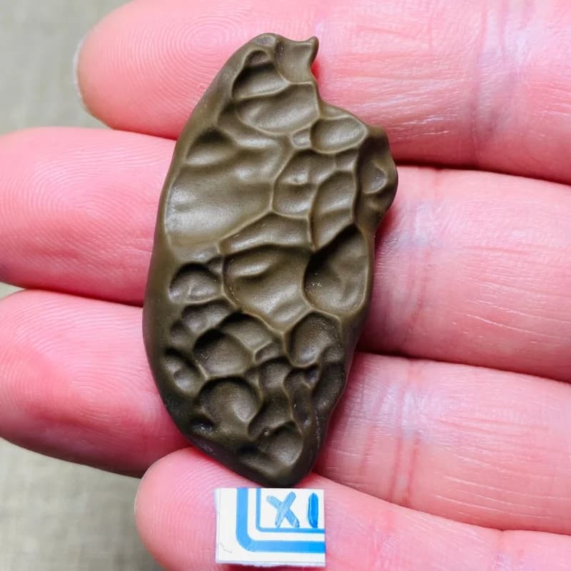 Natural Gobi Desert Mudstone Mineral Specimen with Unusual Texture Energy Chakra Stone