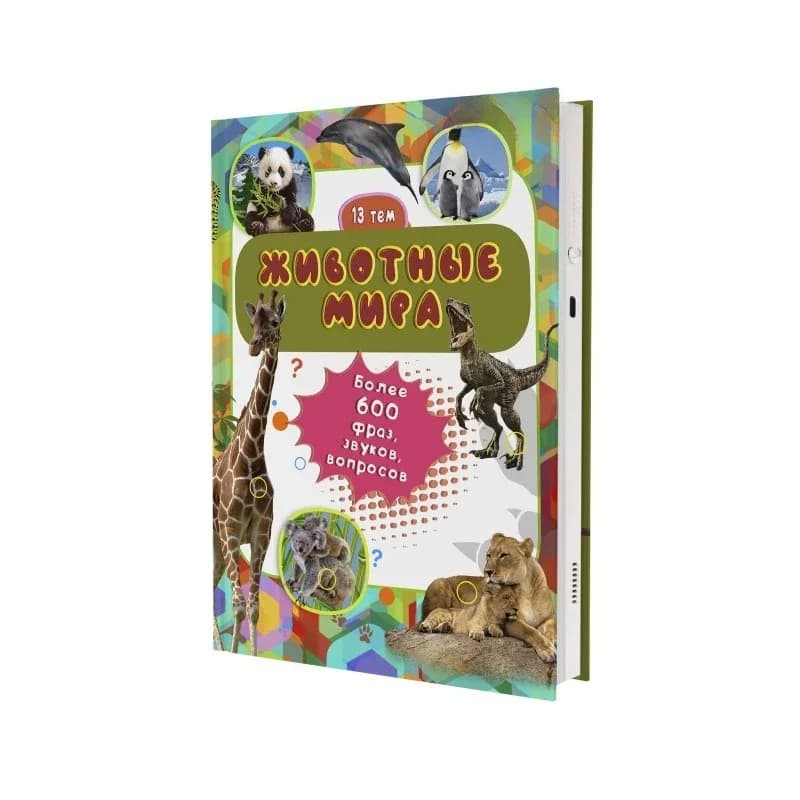 Talking Russian point reading, early education learning, interactive toys