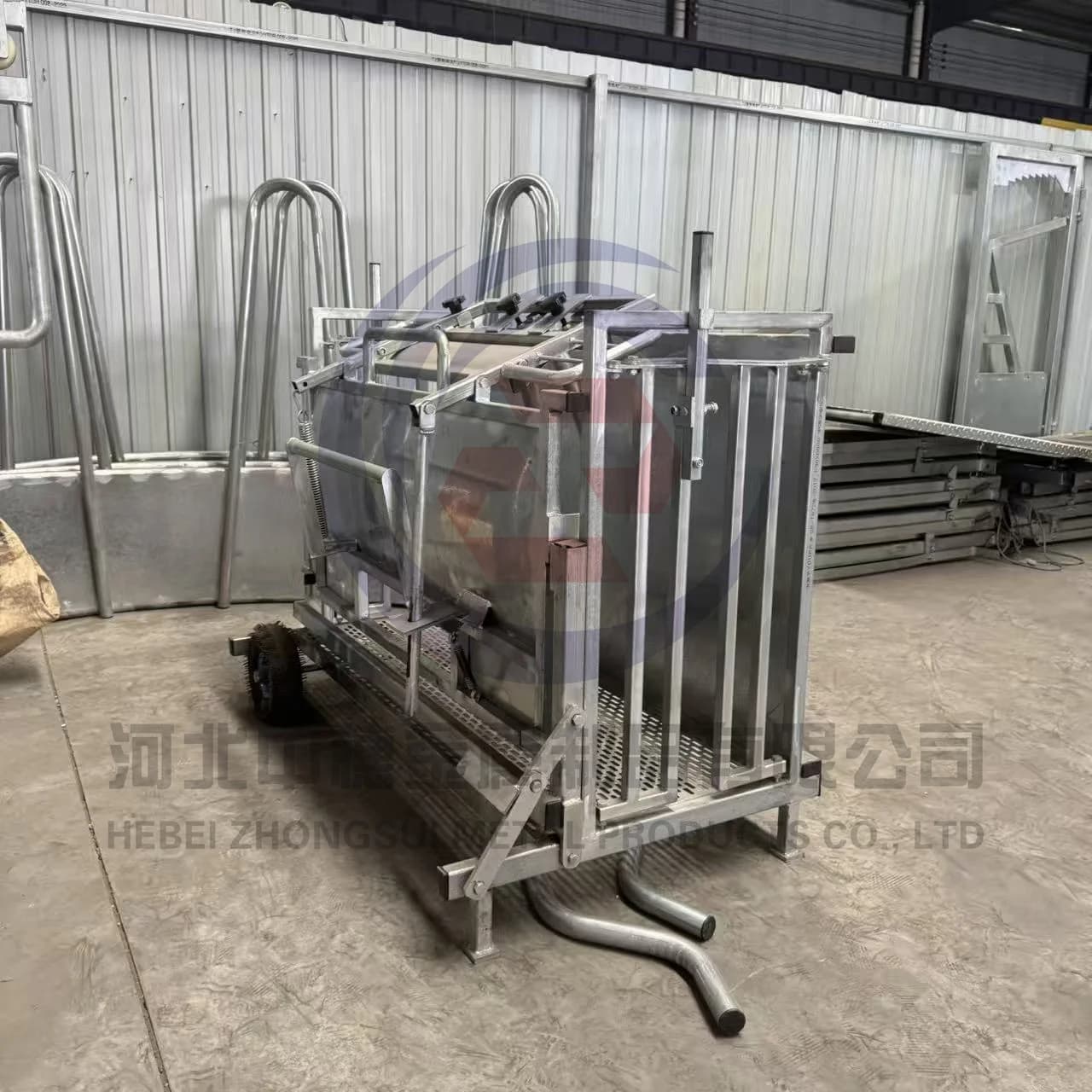 Galvanized Heavy Duty Livestock Sheep Crush  for Sheep Shearing, Drenching Hoof Care.