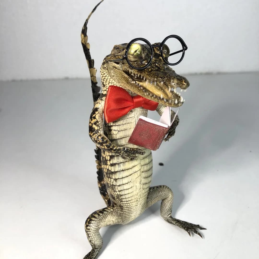 2267 Novelty Reading Pose Hand Finished Craft Ornament Wholesale Bulk Order Cute Stylish Desktop Art Display Collectible Themed