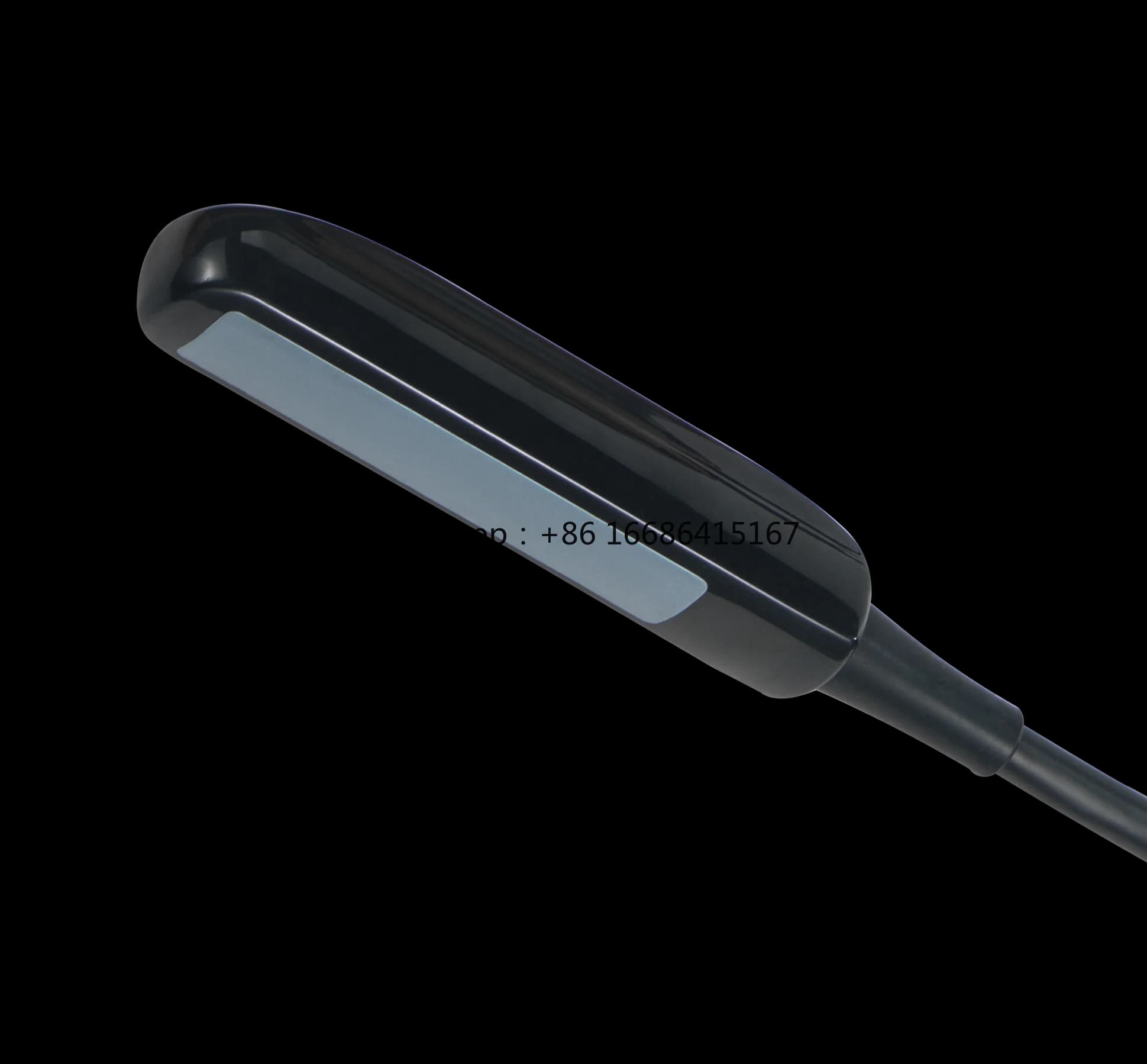 Veterinary Probe Animal Early Diagnosis In Cow Horse Pig Sheep Goats Rectal Linear Convex Probe