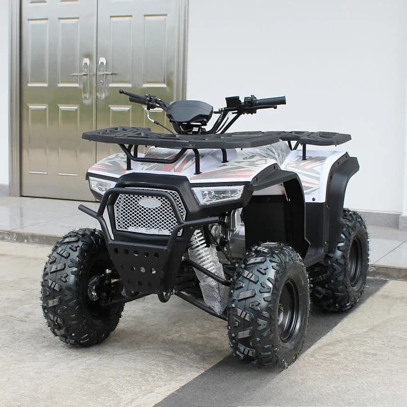 New 125cc automatic transmission beach motorcycle adult scenic mountain all-terrain four-wheel off-road