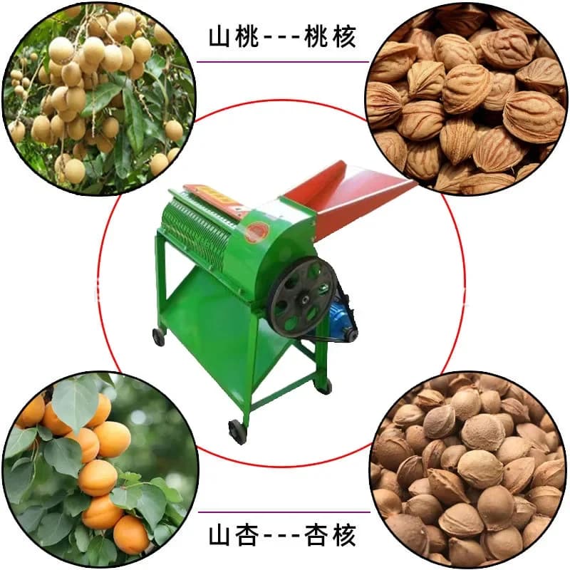 Automatic Apricot Apricot Flesh Separator/good Quality Almond Shelling Machine Fruit Seed Separator Machine
