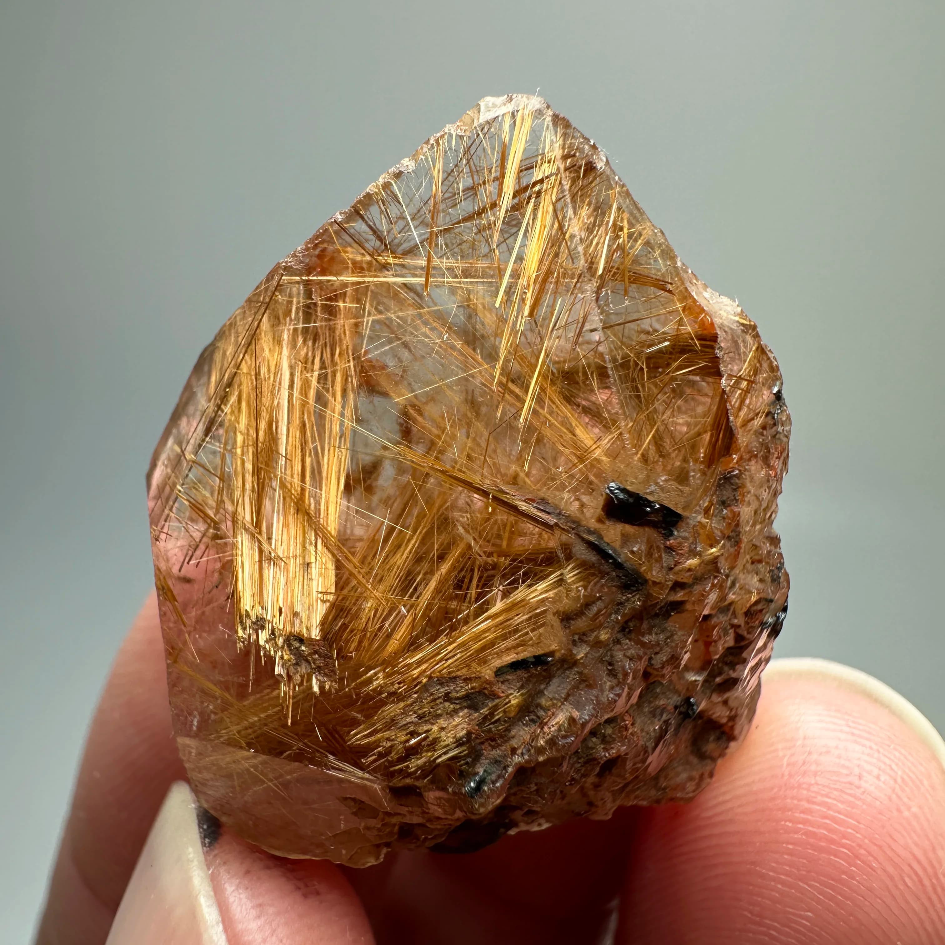 Natural Crystal Brazil Gold Rutilated Quartz Hair Crystal and Specular Hematite Symbiosis Mineral Specimen
