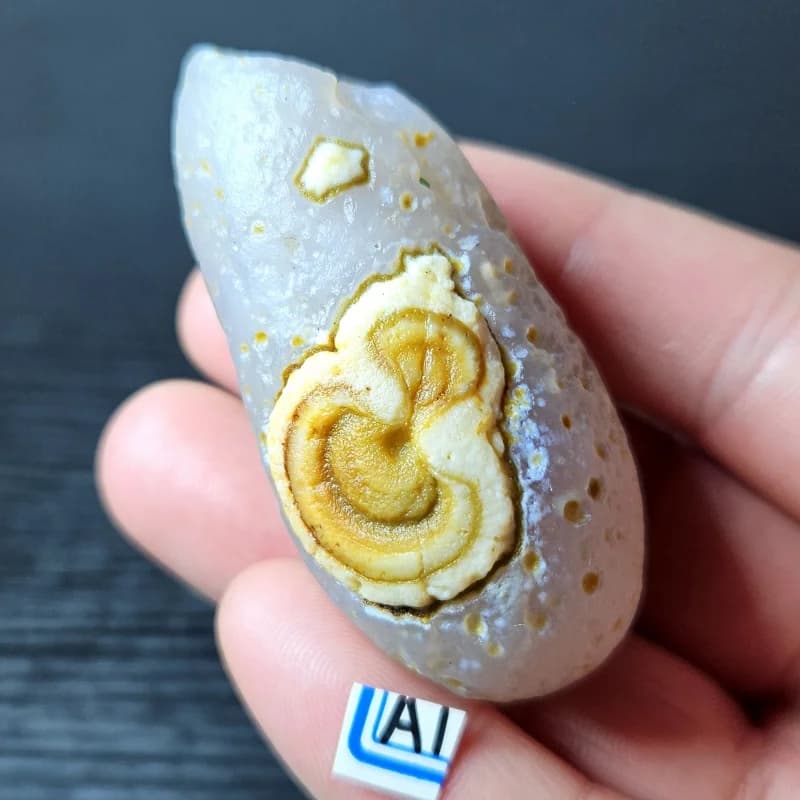 Natural Moroccan agate chrysanthemum shape mineral specimen Crystal healing office desktop decoration