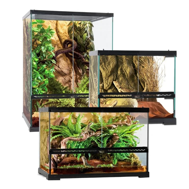 Climbing Pet Maned Lion Lizard Feeding Box Climbing Vat Rainforest Vat Pet Tortoise Guardian Lizard Amphibious