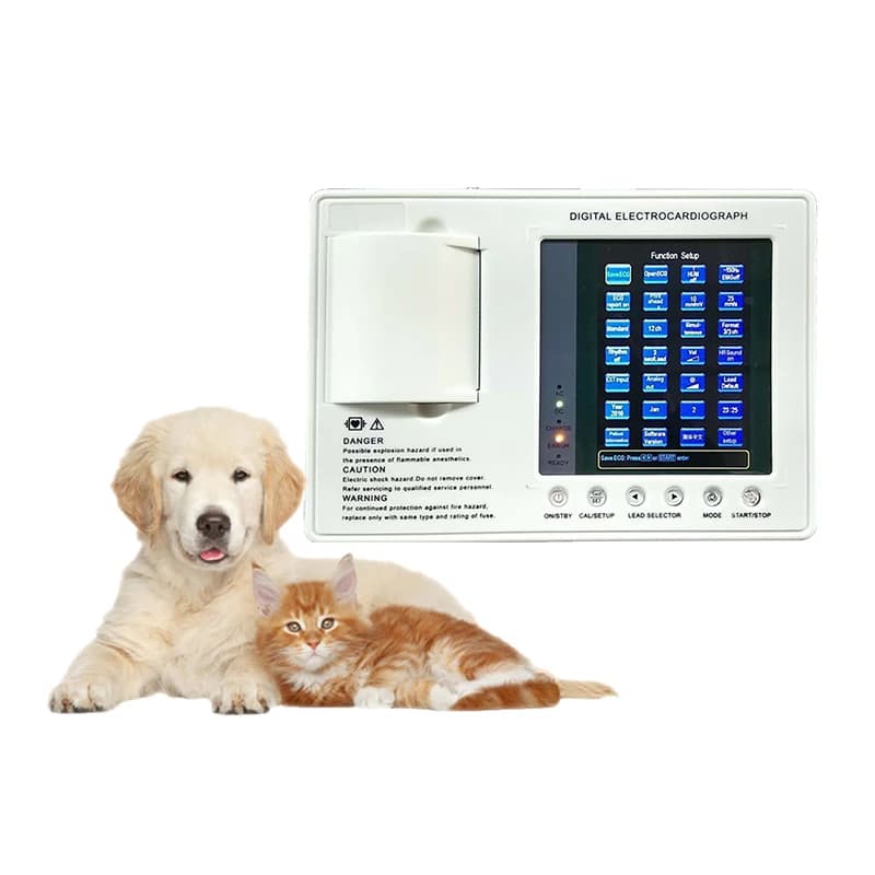 7-inch Color Screen  Veterinary 3-Channel 12-Lead ECG Machine