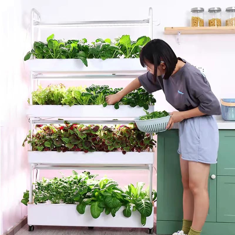 Automatic Home Garden Aquaponics Hydroponic Irrigation Farming Supplies Complete Vertical Hydroponic System for Grow Vegetables