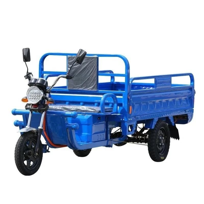 Electric tricycle stall pulling goods express adult load mountain household agricultural battery car truck