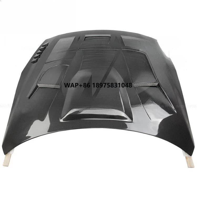 Gt500 a Style Double Carbon Fiber Hood for 2008-2016 R35 GTR