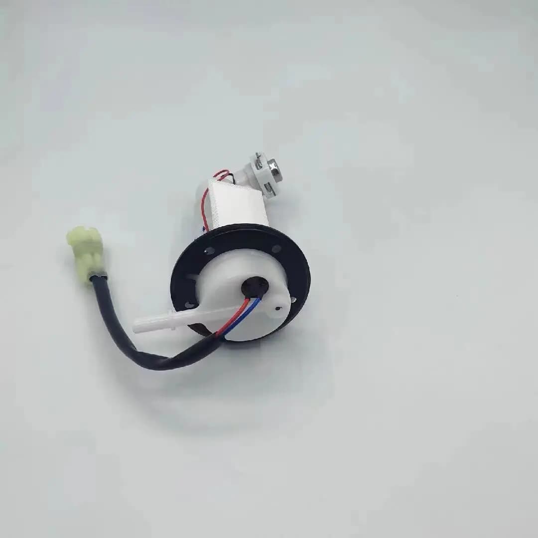 For little ninja, EFI oil pumps Horizons R35V6 for Xiaofengs N19 motorcycle sports car  pumps assembly