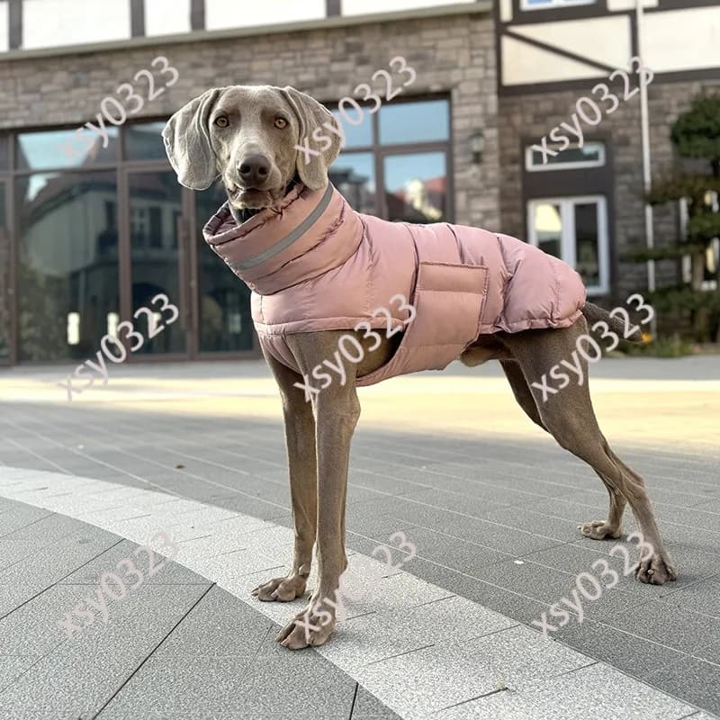 High Filled Cotton Dog Coat, Warm Thick Pet Clothes for Whippet Slender Medium Large Dogs