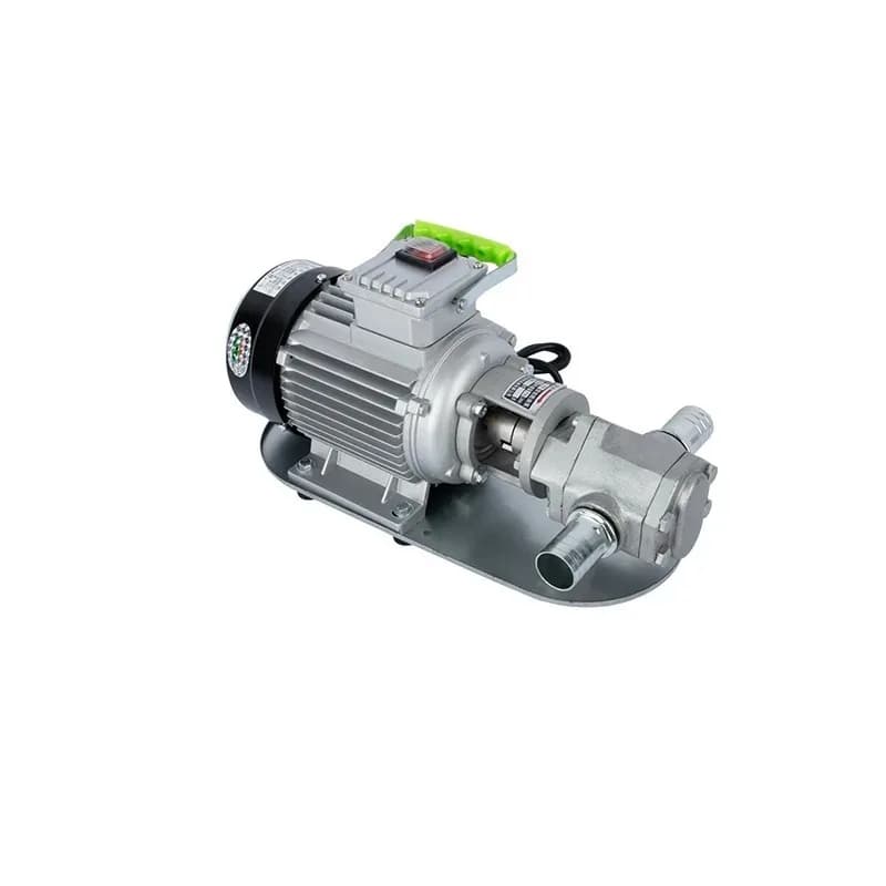 220V/380V Stainless Steel WCB Gear Pump Customizable OEM Food Industrial Grade Electric Oil Pump Explosion-Proof Metal