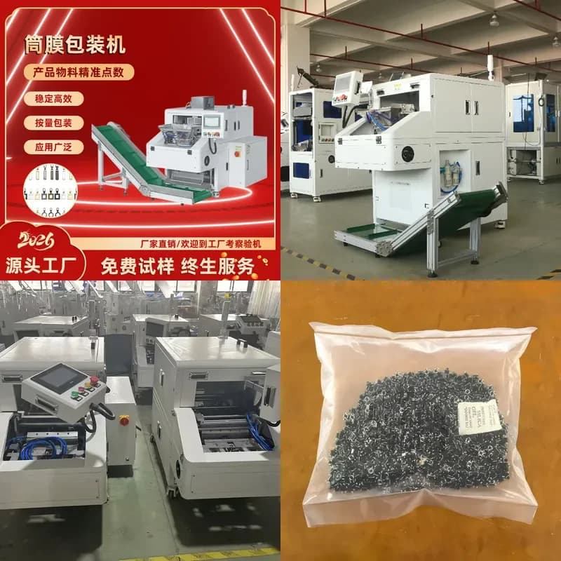 Deposit-Visual Counting Packaging Machine Hardware Accessories Point Machine Small Shrapnel Point Machine Hardware Buckle