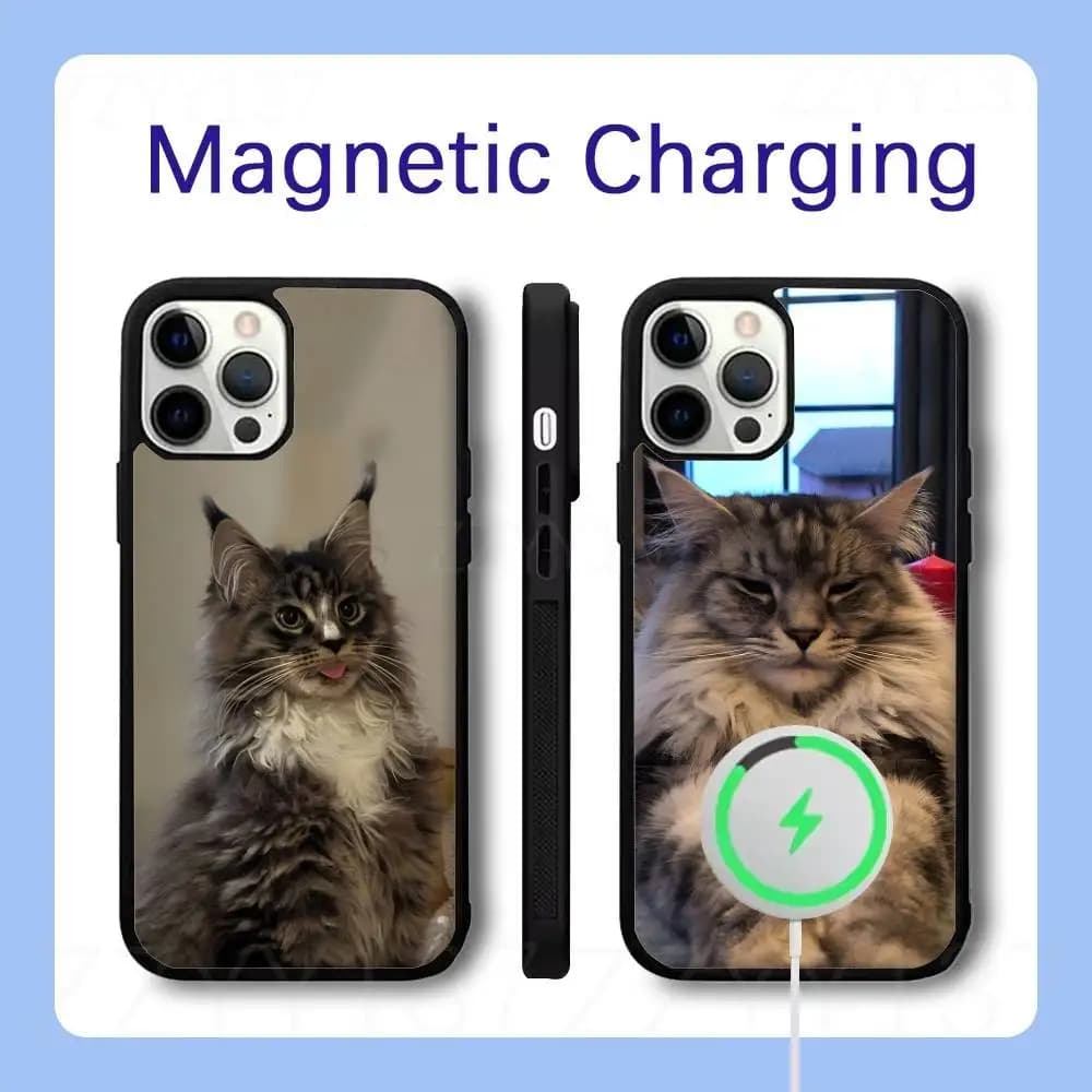 Maine Coon Cat Phone Case For iPhone 18,17,16,15,14,13,12,Pro,Max,Plus Magnetic Wireless Charge Cover