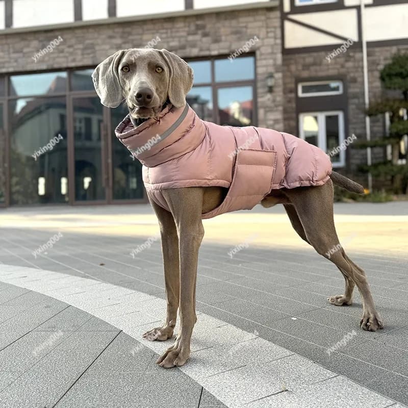 Thick Warm Pet Outfit, High Filling Winter Coat for Slim Body Medium Large Dogs Whippet