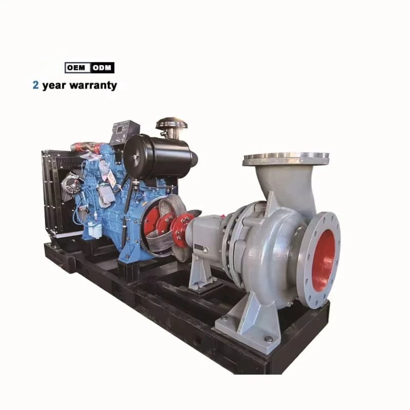 Horizontal Placer Gold Mining Slurry Pump, River Sand Dredging Pump for Mine Tailings Gold Extraction