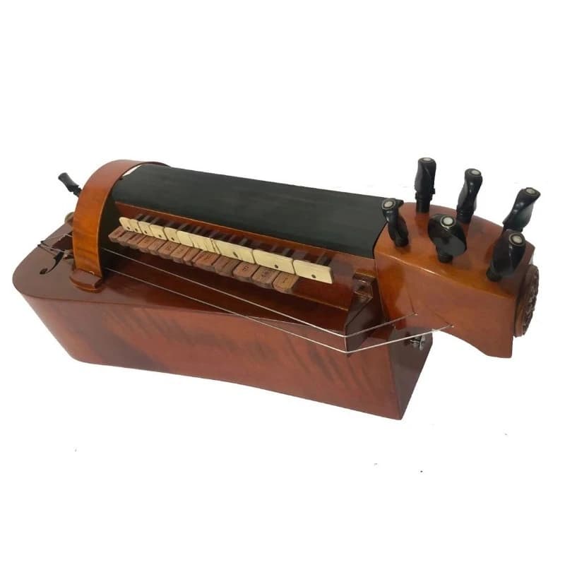 The hurdy-gurdy is a Western musical instrument, a type of Ukrainian musical instrument