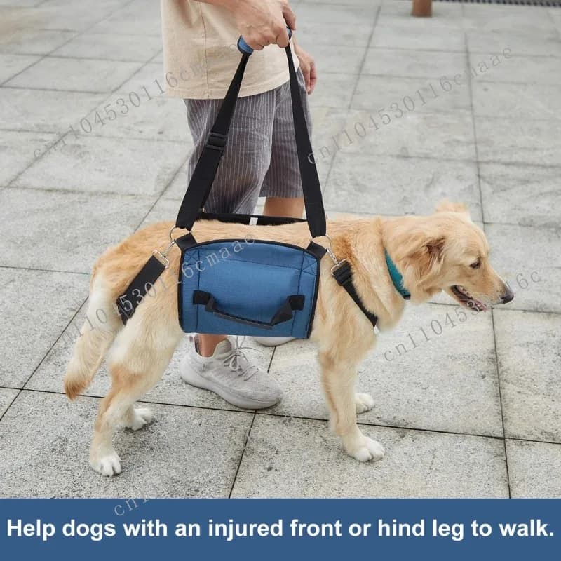 Hot-selling Dog Lift Belt, Nursing Belt, Auxiliary Clothing