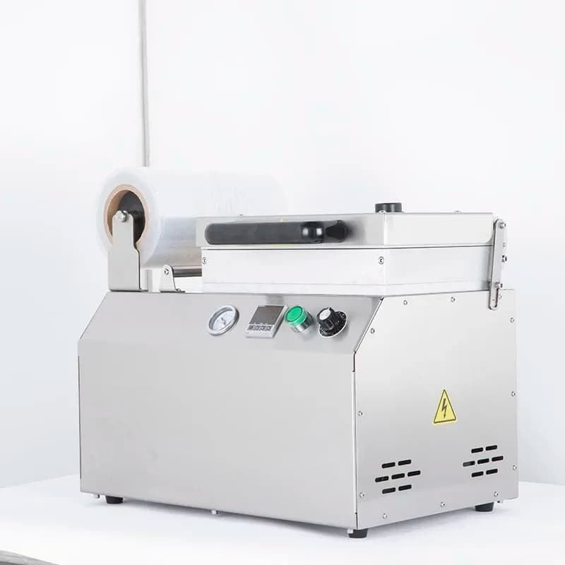 New Arrival Household Portable Food Fruit Vacuum Sealer Skin Packaging Machine With Bag With CE