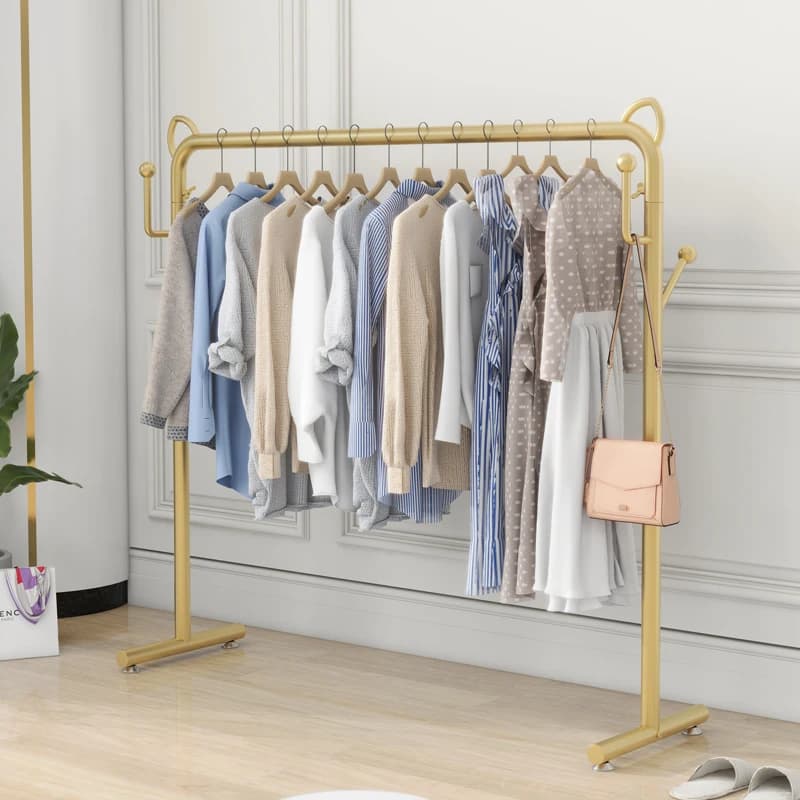Vertical Balcony Clothes Racks Hanging Glod Design Apartments Clothing Rack Living Room Nordic Perchero De Ropa Room Furniture