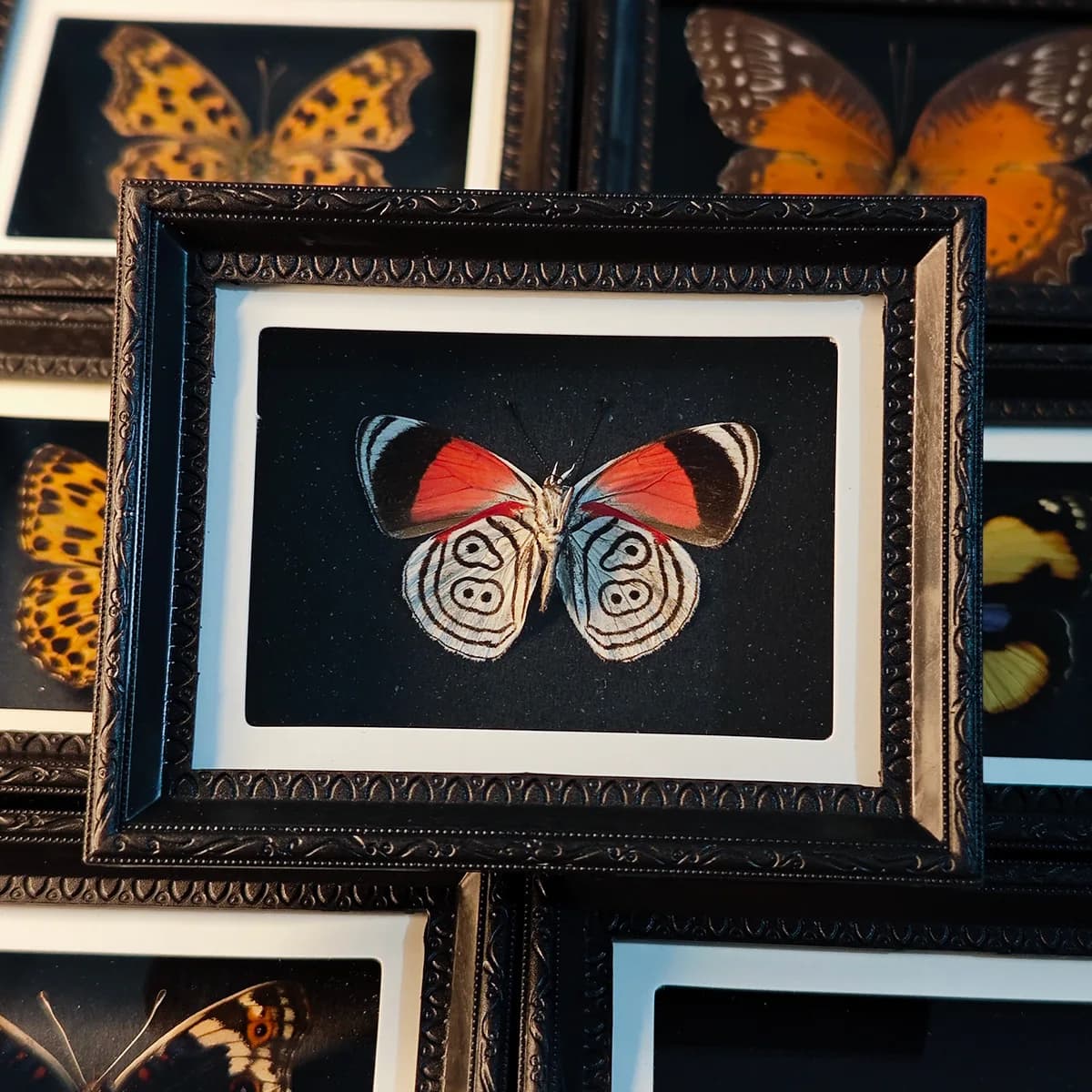 butterfly Refrigerator Sticker Finished European Photo Frame Home Ornament Creative Friend Birthday Gift