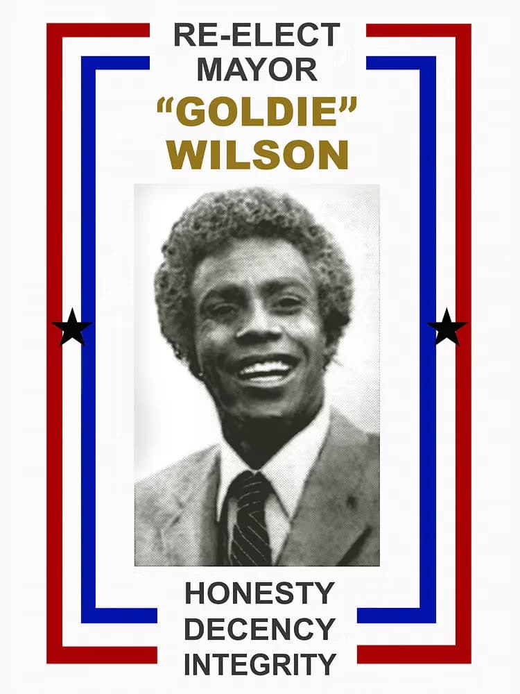 Re Elect Mayor Goldie Wilson Print Canvas Poster, Living Room Decor, Home Wall Picture