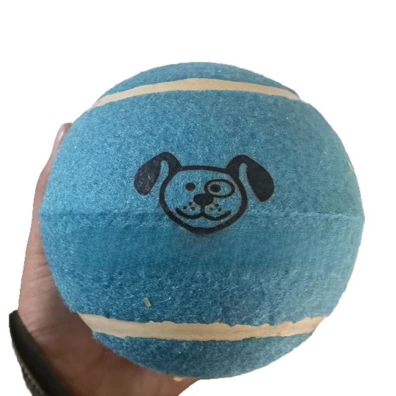 Tennis  Cat Toy Ball Corgi Walking  Training Bite Resistant Pet Products