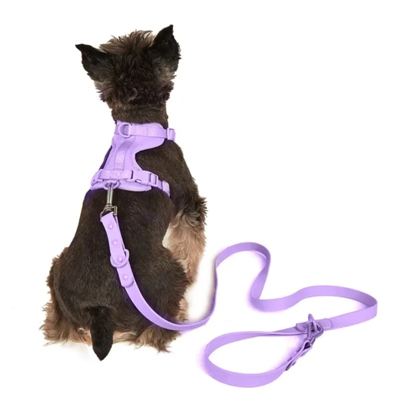 Logo Designer Purple PVC Soft Hunting Waterproof Small Pet Dog Collar and Leash Harness Set
