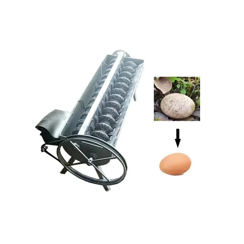 Automatic Machine for Cleaning Quail Eggs