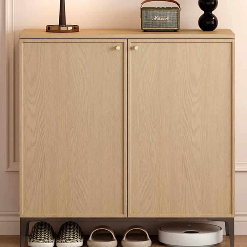 Luxury Designer Shoe Cabinet Organizer Storage Living Room Display Slippers Shoe Shelf Modern Zapatero Shoemakers Furniture