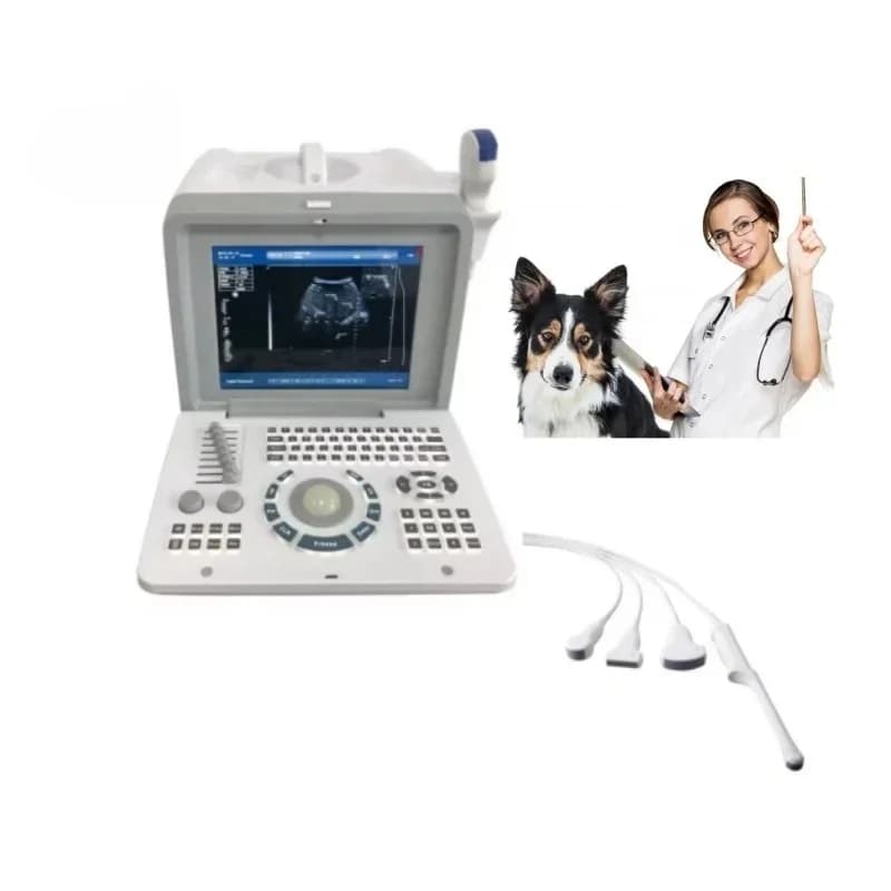 Laptop Veterinary Ultrasound Scanner Cheap Price Vet Ultrasound Machine For Animals