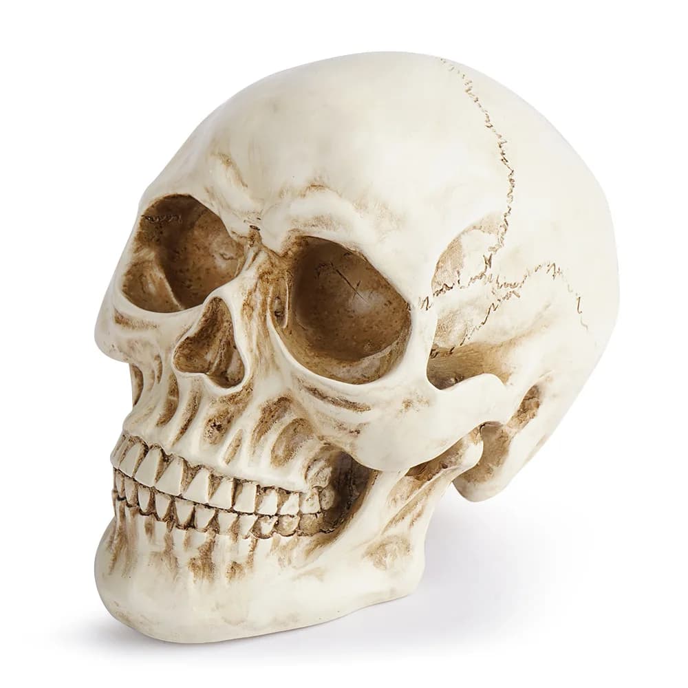 Resin Skull Head Realistic Skull Skeleton Head Ornament Statue for Halloween Party Home Decor Haunted House Horror Decor Props