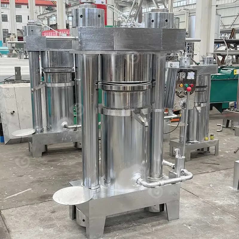 Automatic Black Seed Oil Orange Shea Butter Cold Press Make Machine Presse Huile Extractor De Aceite De Aguacate