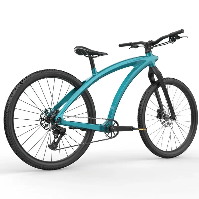 Carbon Fiber Dual Disc Road  Outdoor Riding Variable Speed Bike Off-Road Mountain Bike