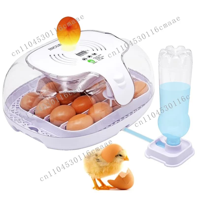 Egg Incubator Chicken  Small Household Automatic Egg Incubator Intelligent