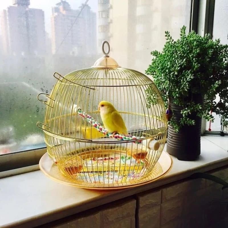 Round Xuanfeng Tiger Skin Wenniao Peony Pearl Metal Cage Decorative Ornamental Cage Small Breeding Parrot