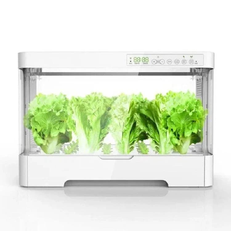 Soilless cultivation equipment Smart home Indoor hydroponic vegetable planting box Hydroponic sprouts box